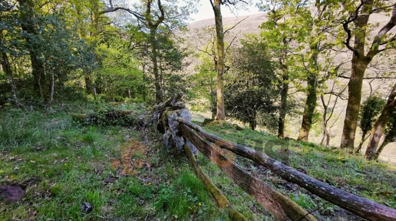 Cantabria - La Sota - 16800m2