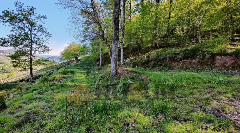 Cantabria - La Sota - 16800m2