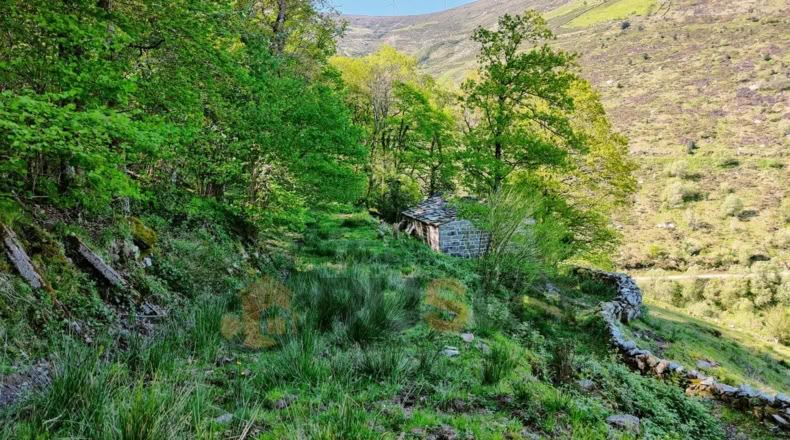 Cantabria - La Sota - 16800m2