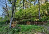 Finca rústica en venta en San Pedro del Romeral ref: TR108459 foto