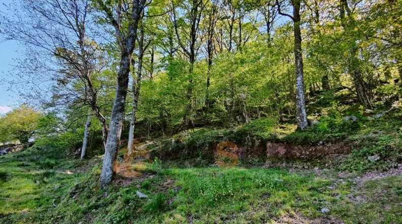 Cantabria - La Sota - 16800m2