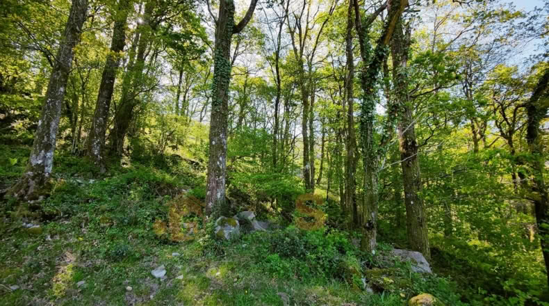 Cantabria - La Sota - 16800m2