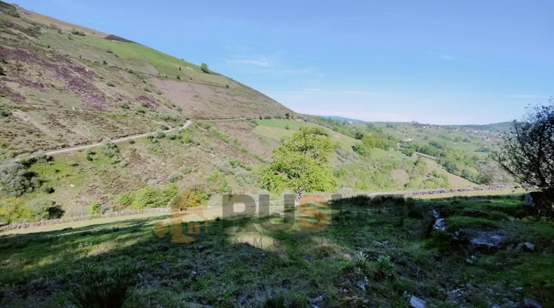 Cantabria - La Sota - 16800m2