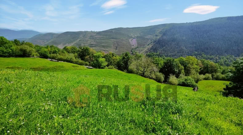 Cantabria - El Rosario - 15000m2