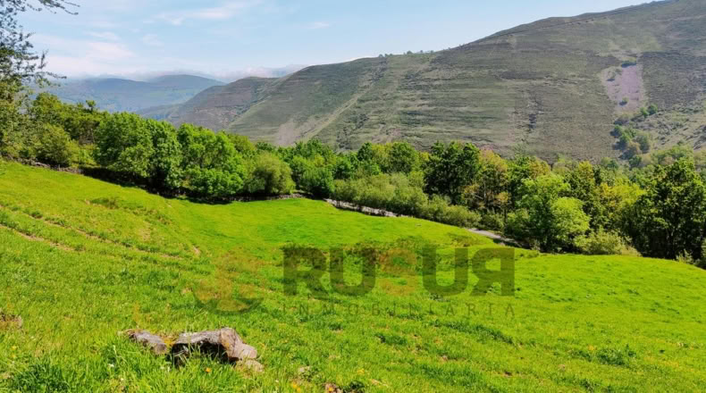 Cantabria - El Rosario - 15000m2