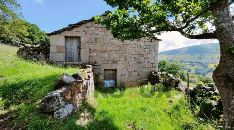 Cantabria - Vegaloscorrales - 30300m2