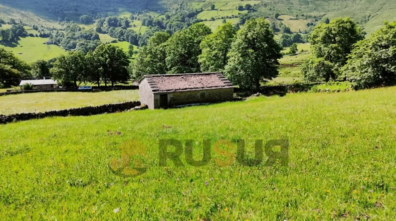 Cantabria - Vegaloscorrales - 30300m2