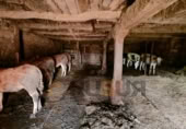 Finca rústica en venda a San Pedro del Romeral ref.: TR108455 foto