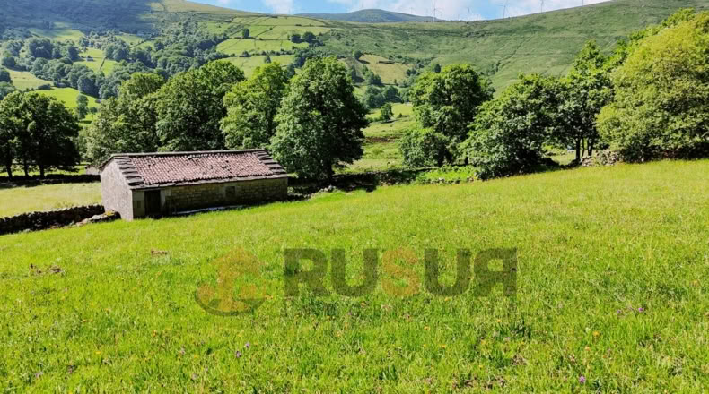 Cantabria - Vegaloscorrales - 30300m2