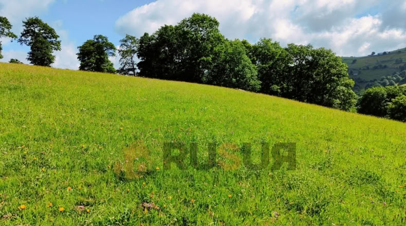 Cantabria - Vegaloscorrales - 30300m2