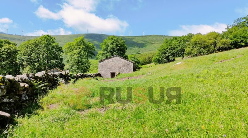 Cantabria - Vegaloscorrales - 30300m2