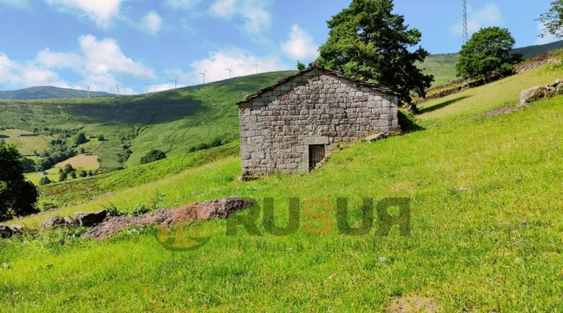 Cantabria - Vegaloscorrales - 30300m2