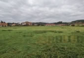 Non-developable land for sale in San Vicente de la Barquera ref: TR253972 photo