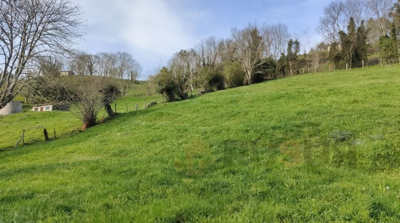 Cantabria - Villegar - 3500m2