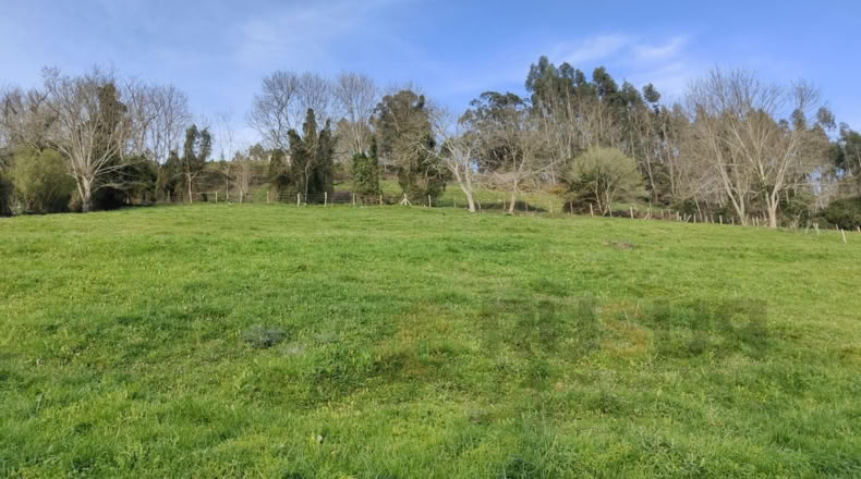 Cantabria - Villegar - 3500m2