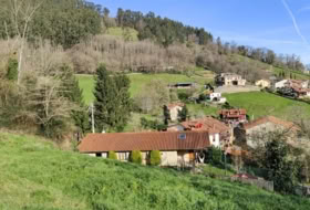Foto 19