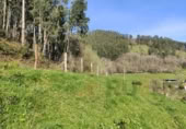 Terreny no urbanitzable en venda a Corvera ref.: TR253973 foto
