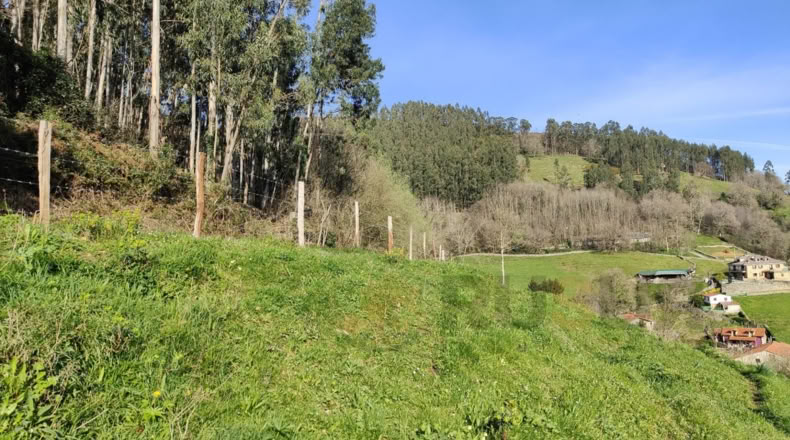 Cantabria - Villegar - 3500m2