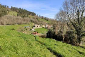 Foto 20