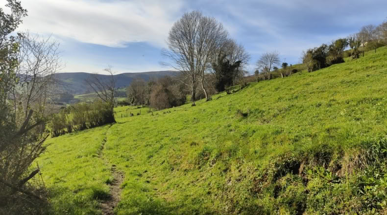 Cantabria - Villegar - 3500m2