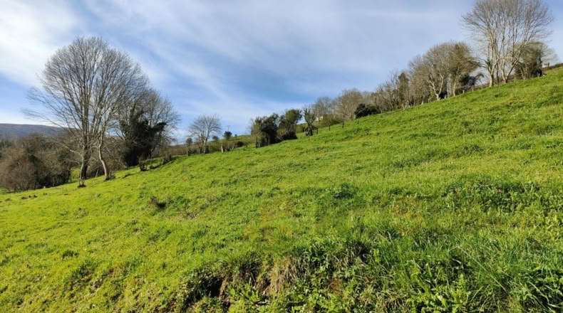 Cantabria - Villegar - 3500m2