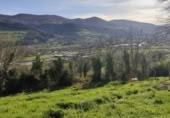 Terreny no urbanitzable en venda a Corvera ref.: TR253973 foto