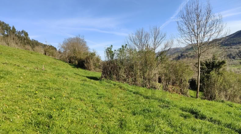 Cantabria - Villegar - 3500m2