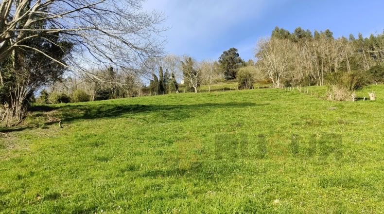 Cantabria - Villegar - 3500m2