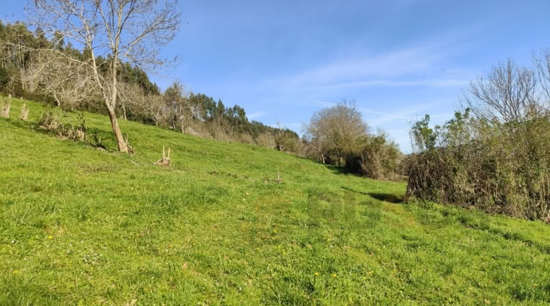 Cantabria - Villegar - 3500m2