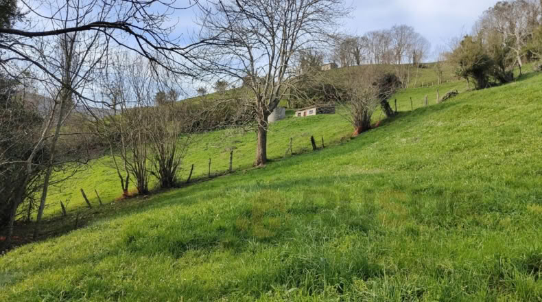 Cantabria - Villegar - 3500m2