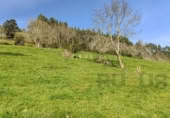 Terreny no urbanitzable en venda a Corvera ref.: TR253973 foto