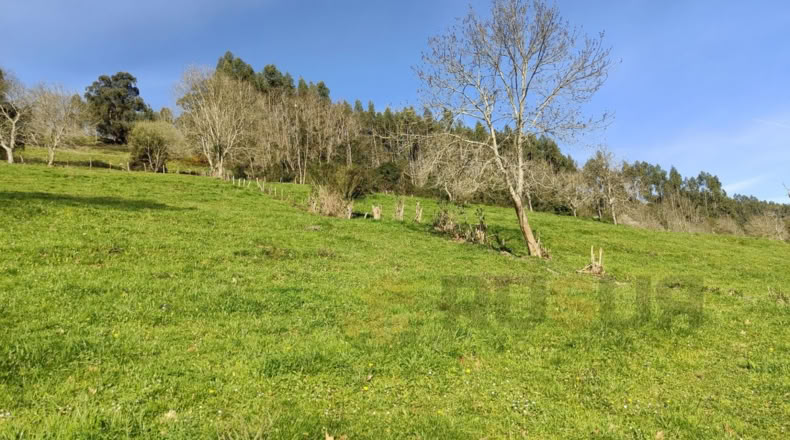 Cantabria - Villegar - 3500m2