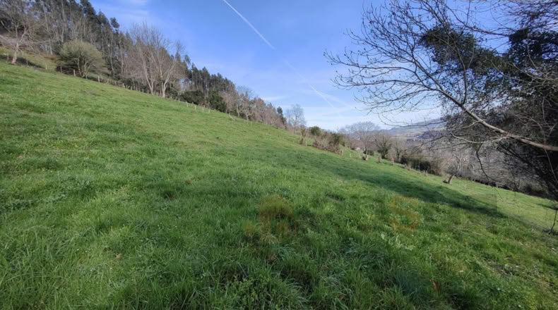 Cantabria - Villegar - 3500m2