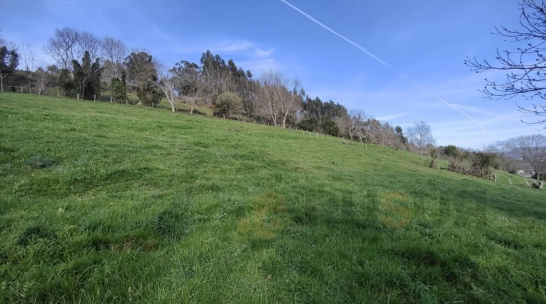Cantabria - Villegar - 3500m2