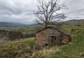 Rural estate for sale in Selaya ref: TR108538 photo