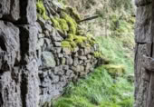 Rural estate for sale in Selaya ref: TR108538 photo