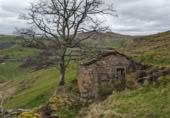 Rural estate for sale in Selaya ref: TR108538 photo