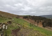 Rural estate for sale in Selaya ref: TR108538 photo