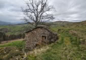 Rural estate for sale in Selaya ref: TR108538 photo