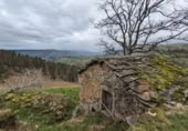Rural estate for sale in Selaya ref: TR108538 photo