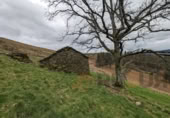 Rural estate for sale in Selaya ref: TR108538 photo