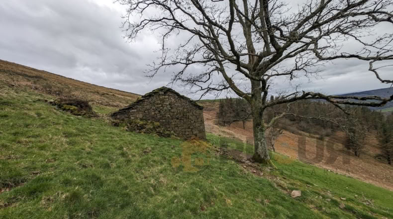 Cantabria - Bustantegua - 13600m2