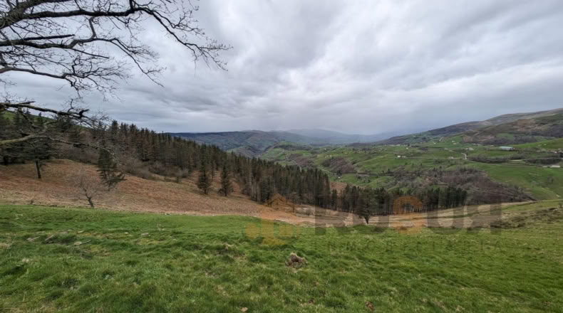 Cantabria - Bustantegua - 13600m2
