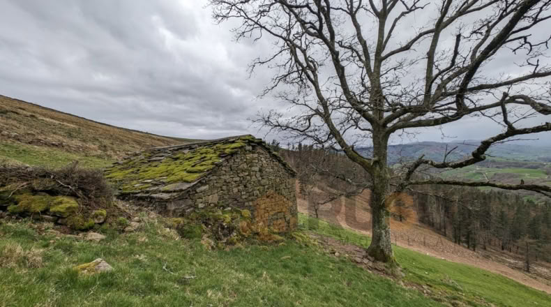 Cantabria - Bustantegua - 13600m2