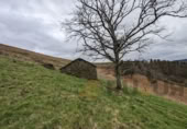 Rural estate for sale in Selaya ref: TR108538 photo