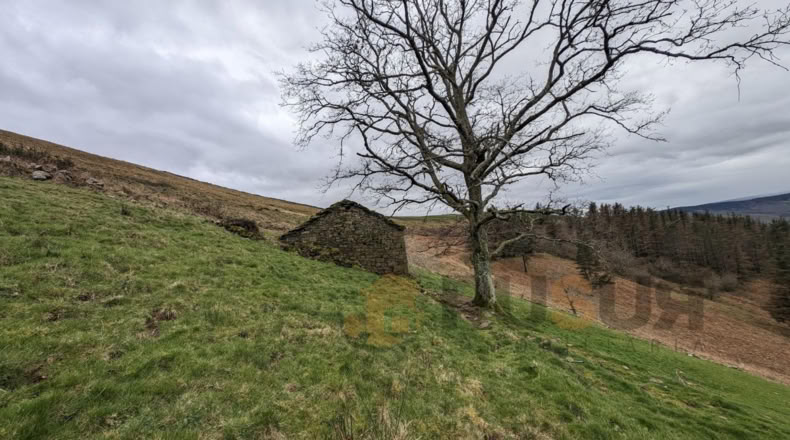 Cantabria - Bustantegua - 13600m2