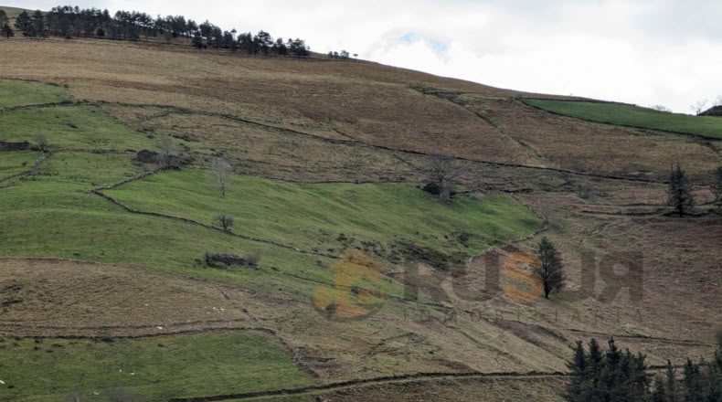 Cantabria - Bustantegua - 13600m2