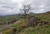 Rural estate for sale in Selaya ref: TR108538 photo