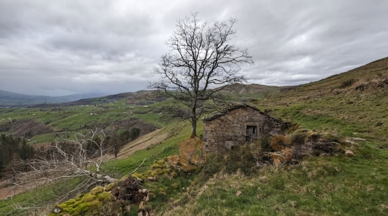 Cantabria - Bustantegua - 13600m2