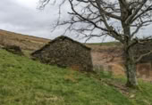 Rural estate for sale in Selaya ref: TR108538 photo